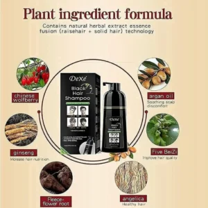 Dexe Black Hair Shampoo 400 ML Instant Hair Darkening Dye for Men Women Black Color - Easy to Use - Lasts 30 Days